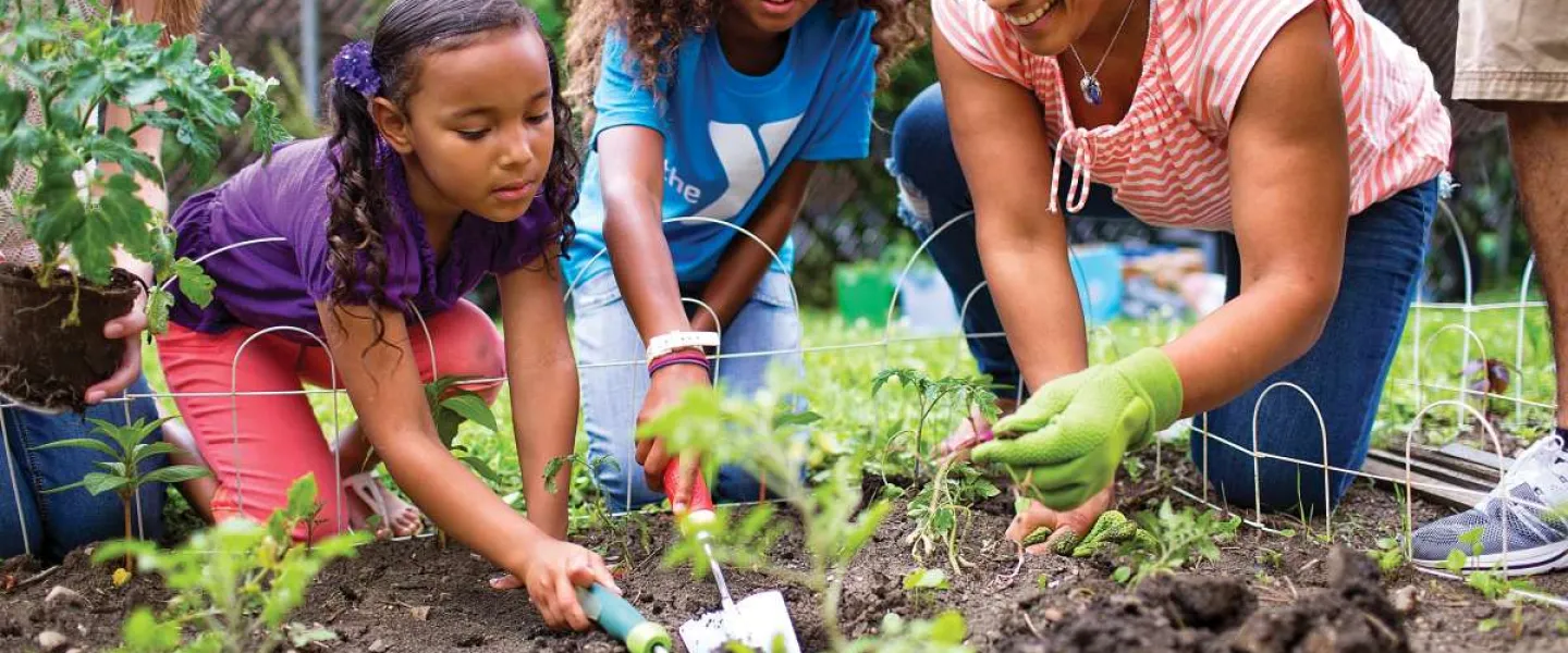 community garden