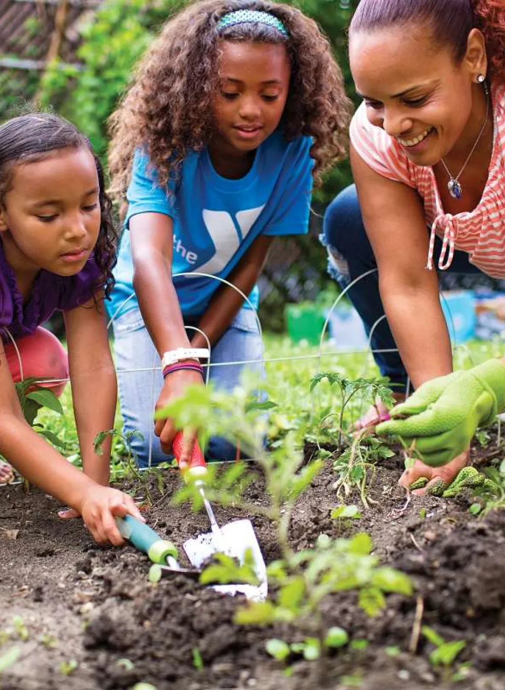 community garden