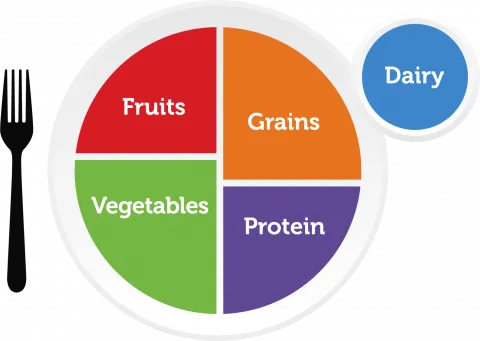 healthy plate